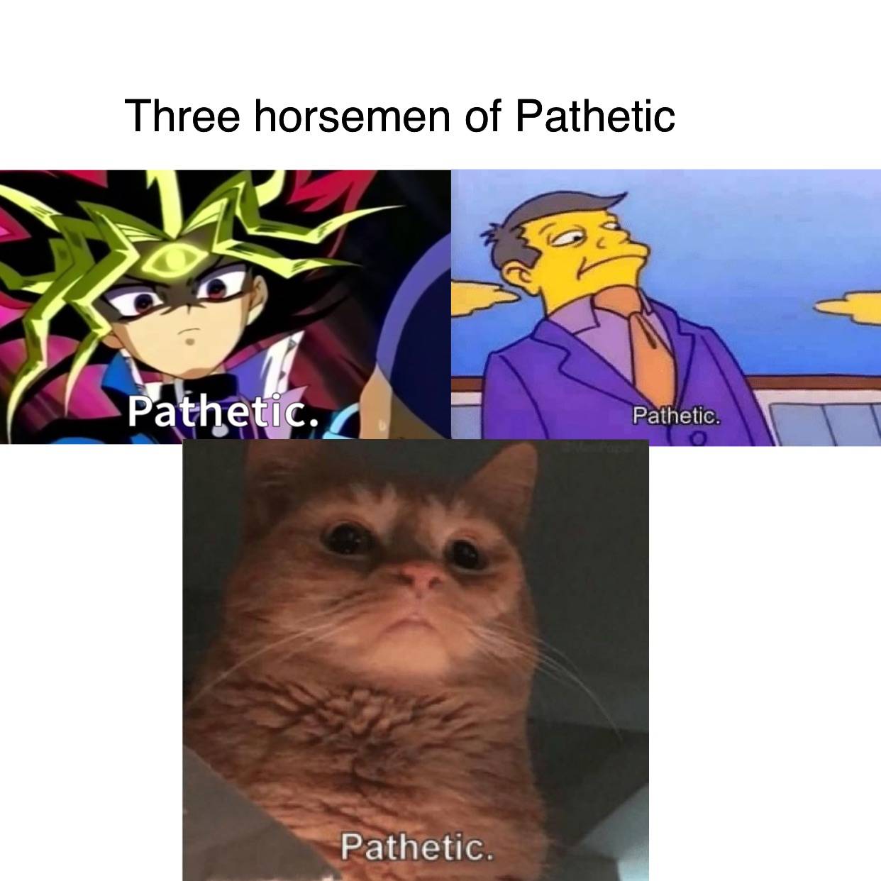 Pathetic Memes