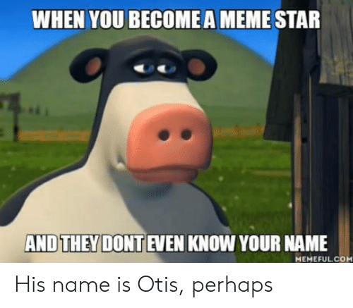 Perhaps Memes