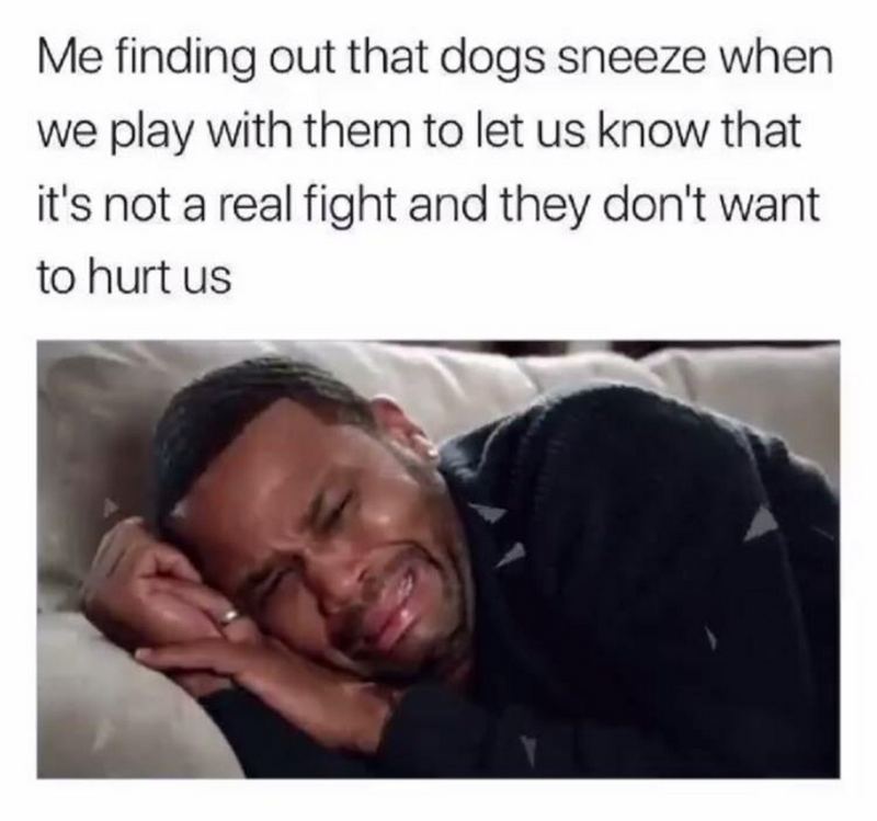 50+ Sad Memes When Life Is Getting You Down and You Need a Laugh