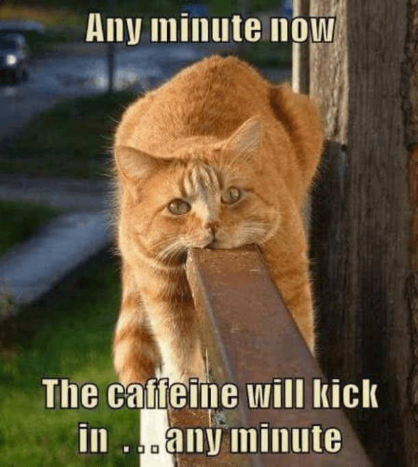 coffee memes