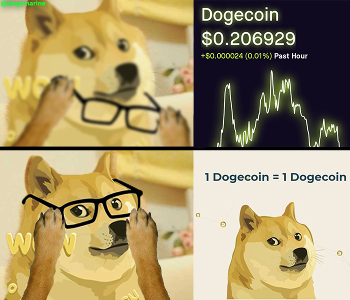 dogecoin viral