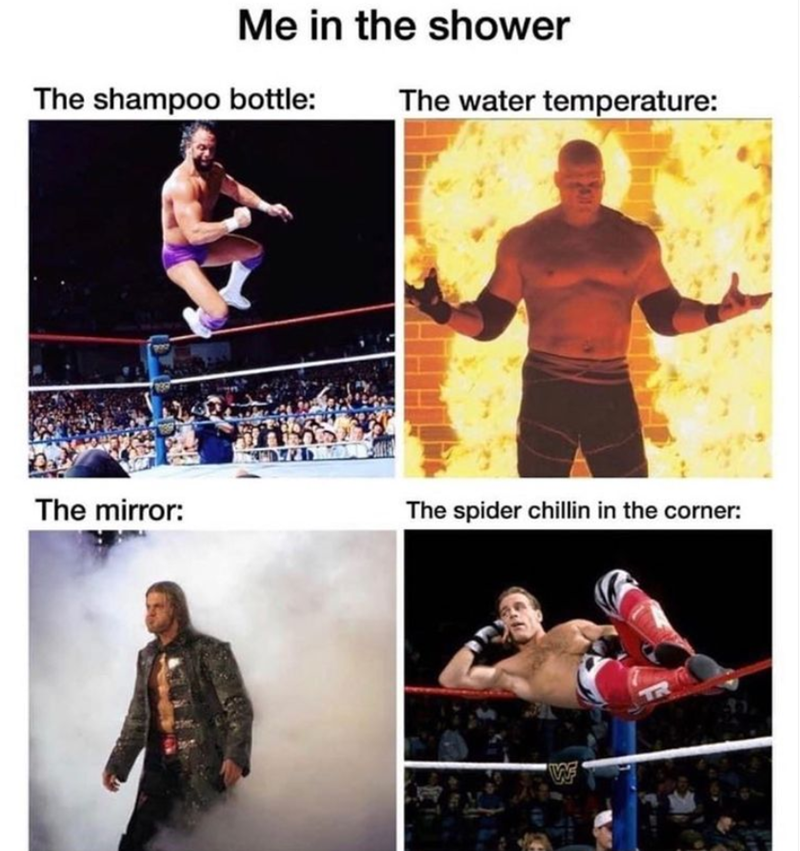 50+ Funny WWE Memes That Will Make You Cry With Laughter