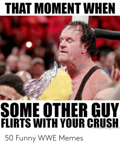 funny WWE Memes