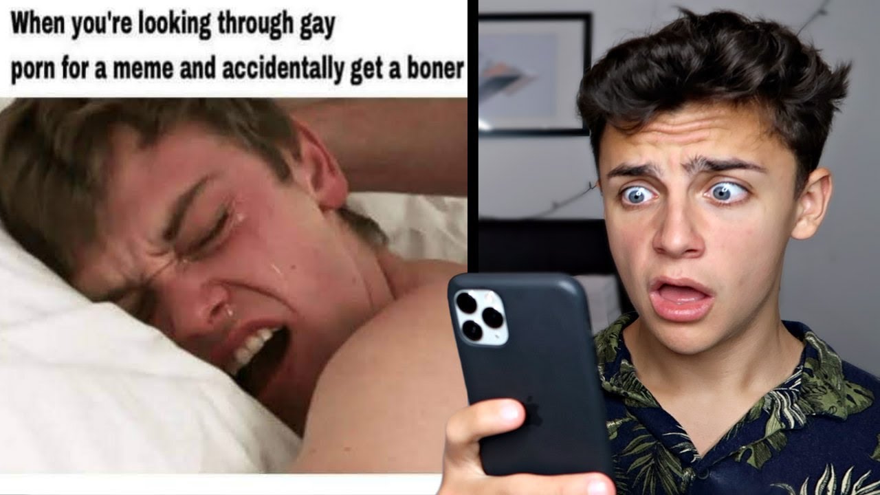 gay memes