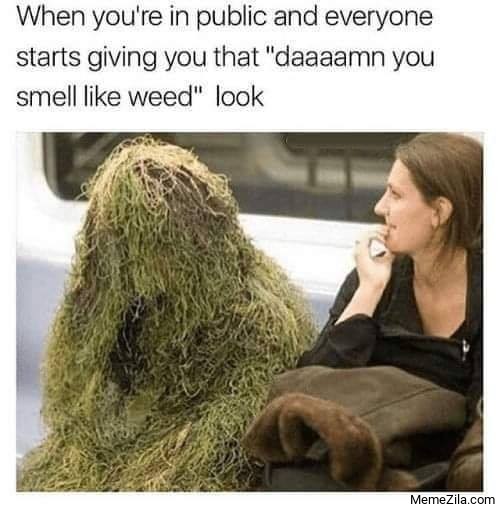 50+ Funny Weed Memes To Laugh At When You Are High AF