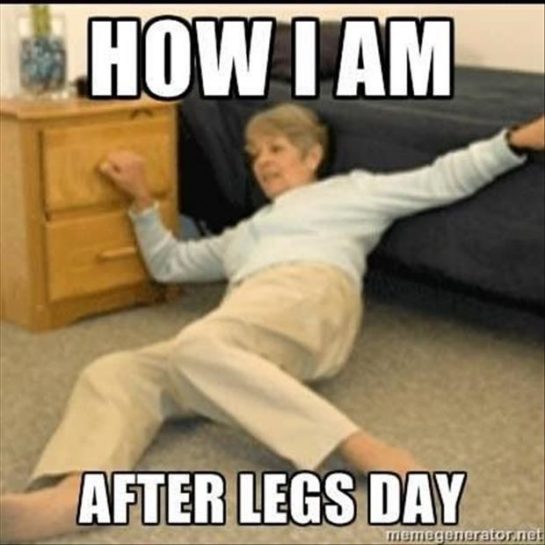 50 Funny Leg Day Memes For People Who Really Train Legs 1400