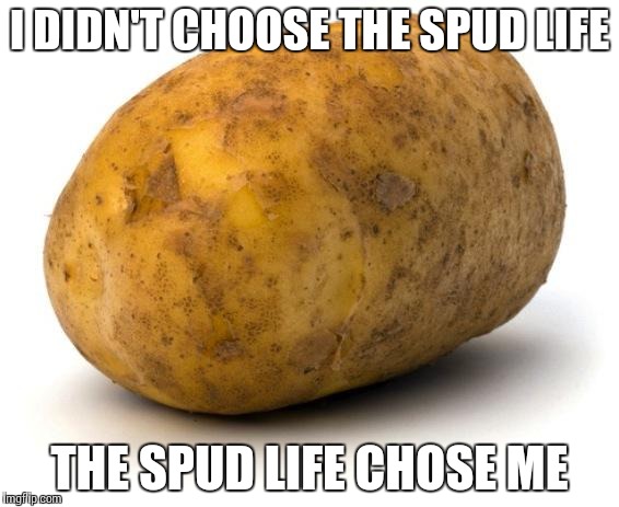 50 Funny Potato Memes That Are Guaranteed To Make Your Day 4010