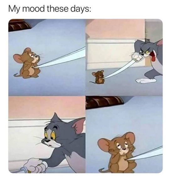 50+ Funny Tom And Jerry Memes To Keep You Laughing