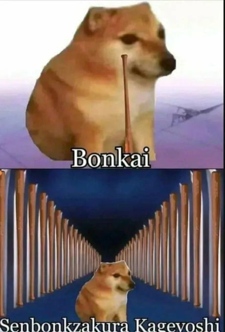 Bonk Memes