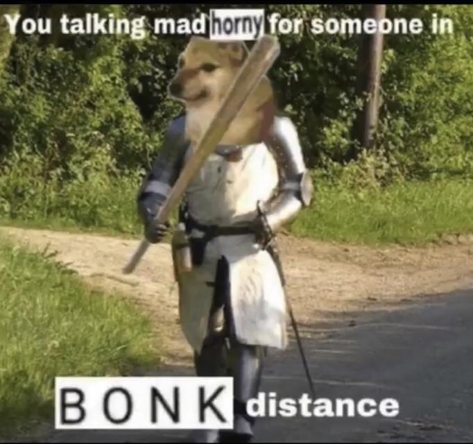 Bonk Memes