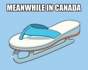 Canada Memes