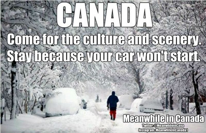 Canada Memes