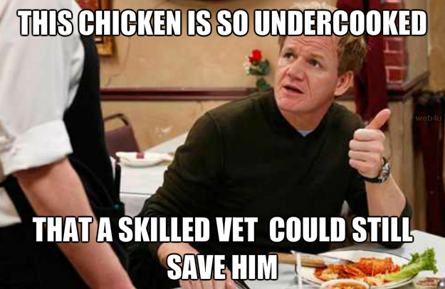 Gordon Ramsay Memes