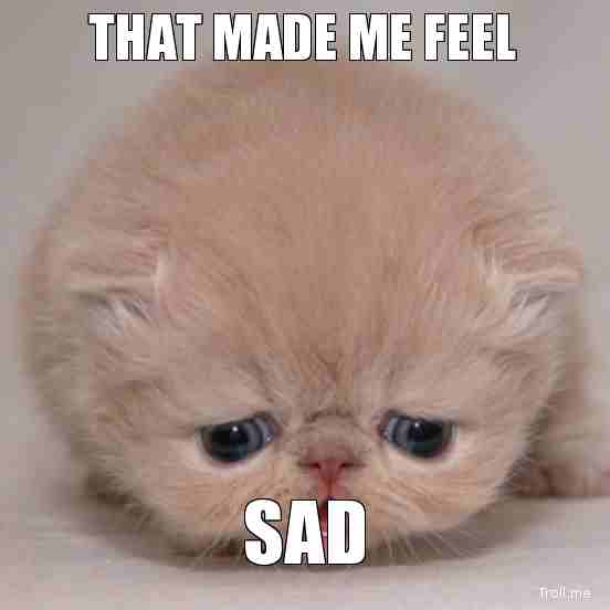 50+ Sad Cat Memes We All Can Relate to in Daily Life