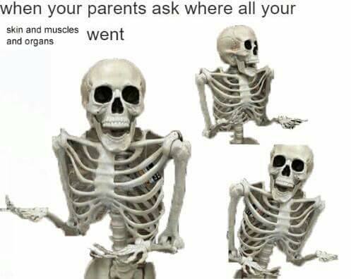 Skeleton Memes