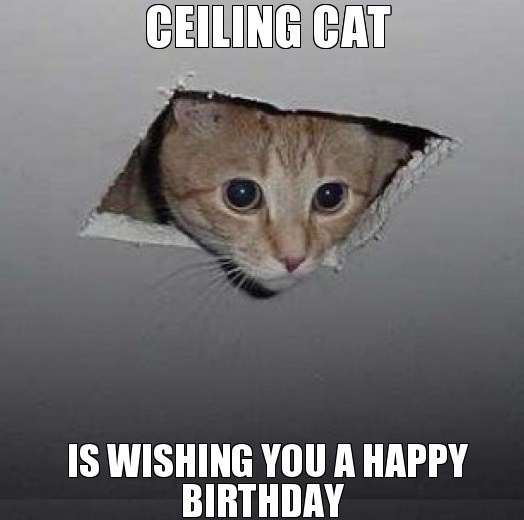 cat birthday memes