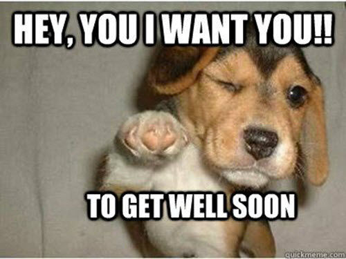 50+ Funny Get Well Soon Memes For A Speedy Recovery