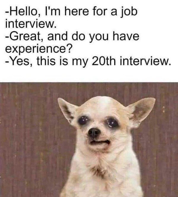 Job Interview Memes