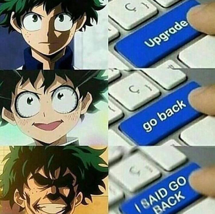 MHA Memes