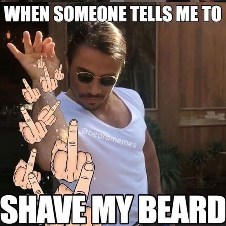 beard memes