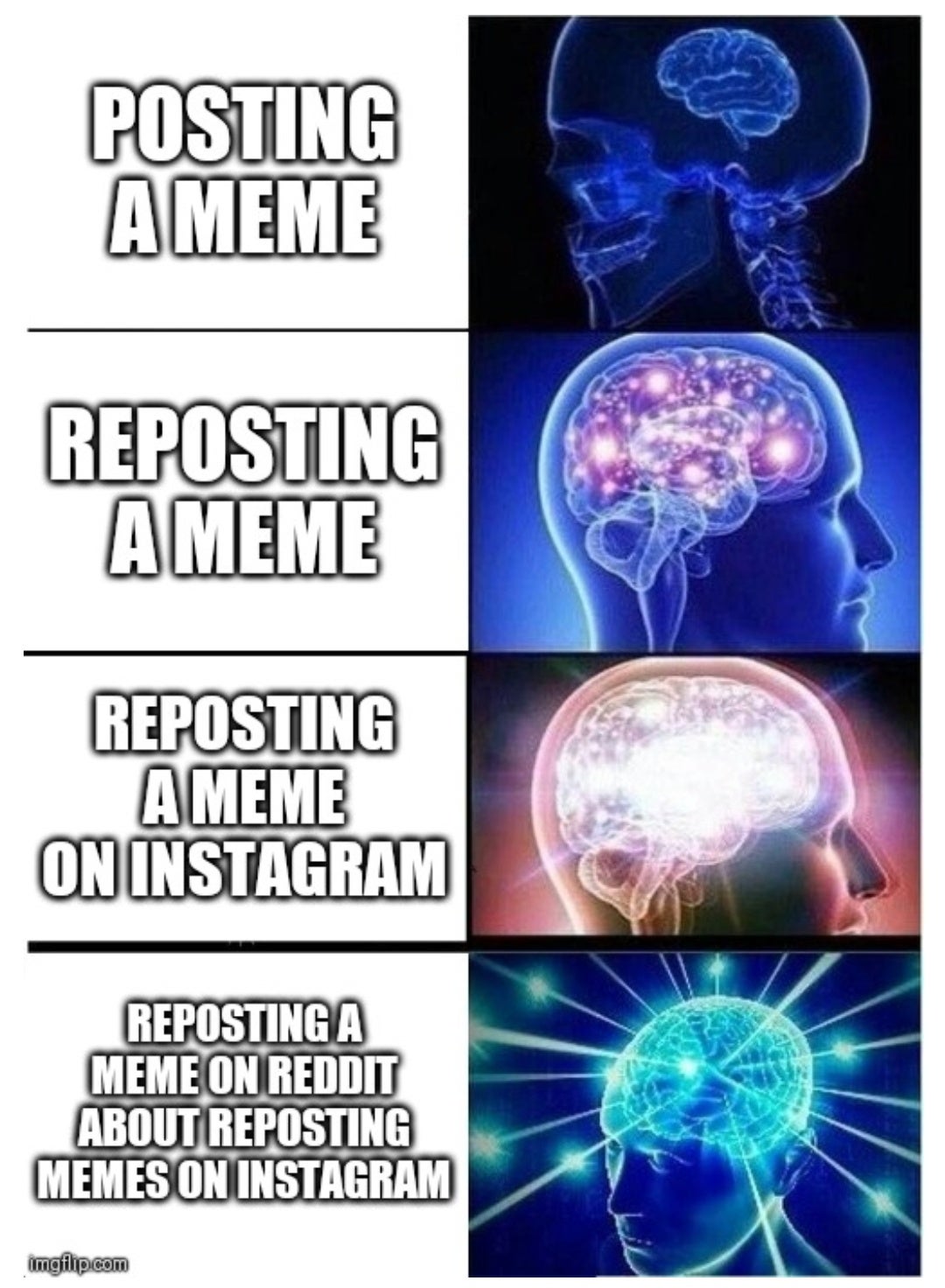 big brain memes