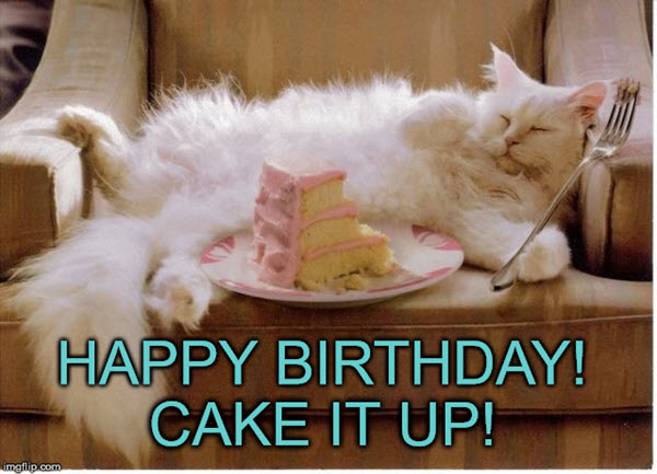 50+ Cat Birthday Memes That Are Way Too Adorable