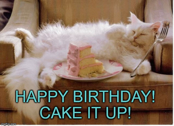 cat birthday memes