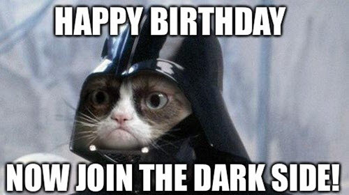 cat birthday memes