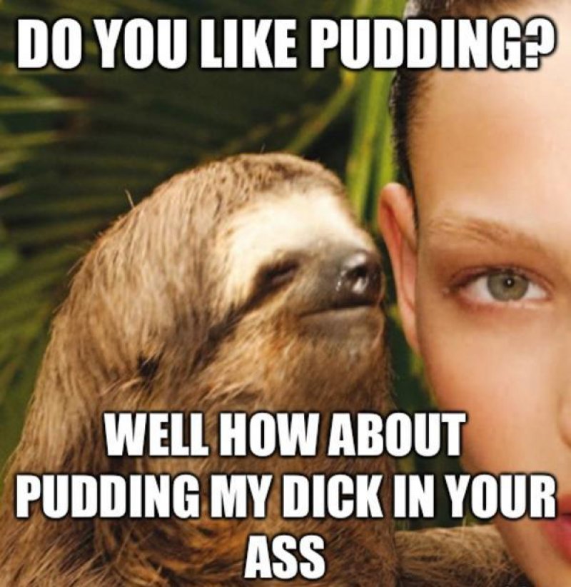 sloth memes