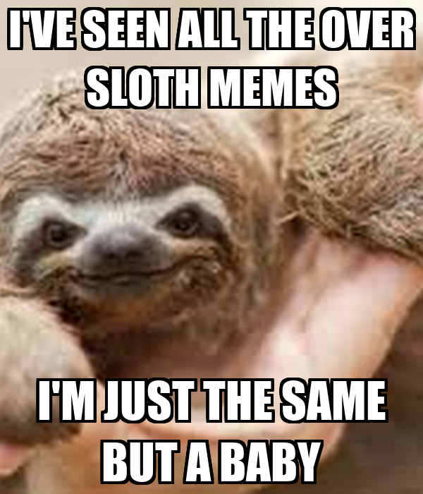 sloth memes