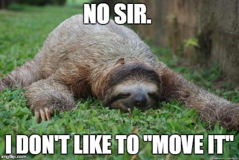 sloth memes