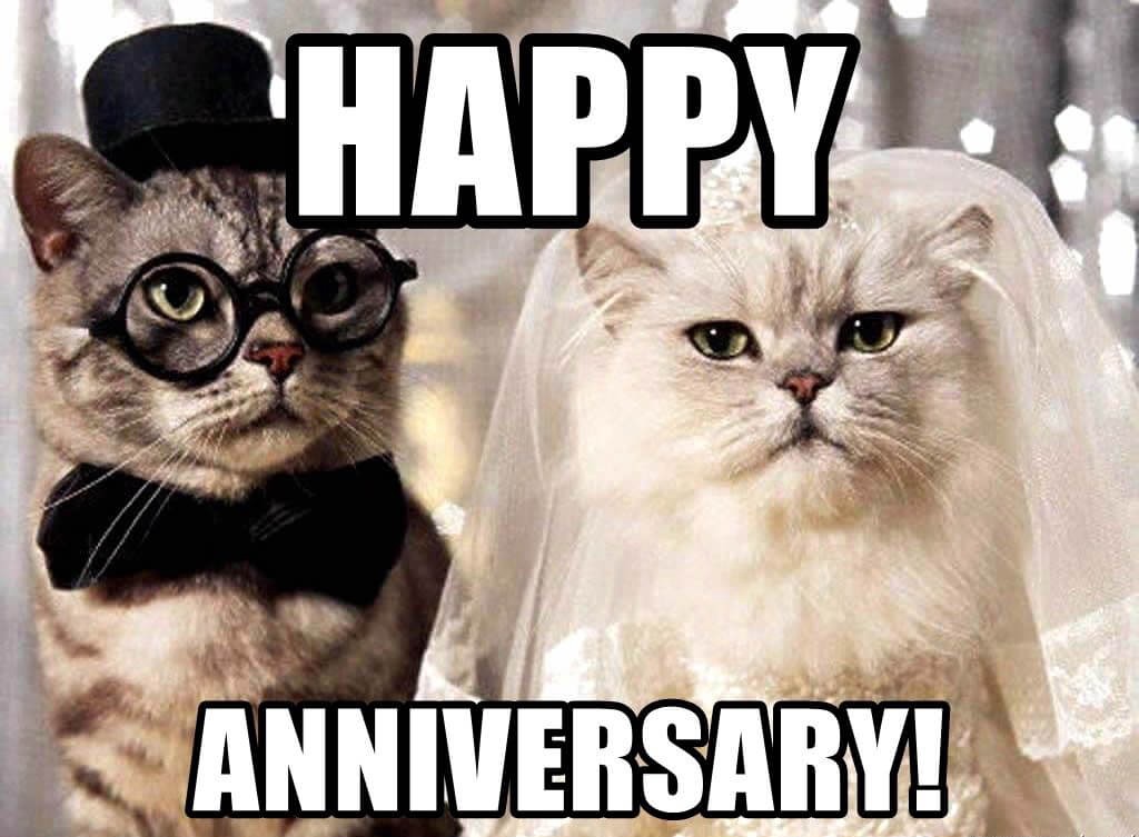 50+ Funny Happy Anniversary Memes to Celebrate Your Wedding Date.