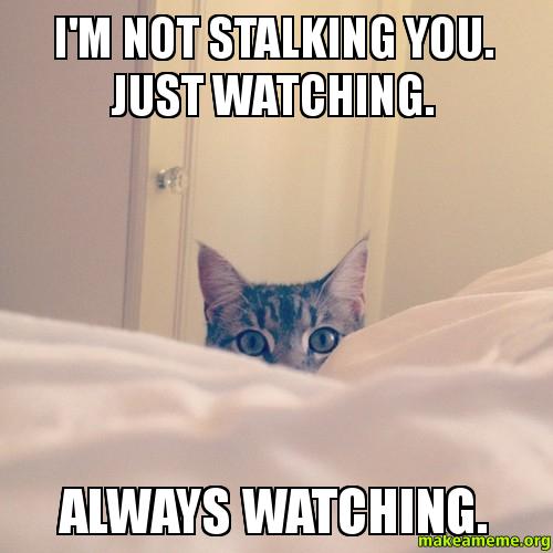 Stalking Memes