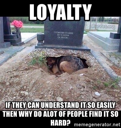 loyalty memes