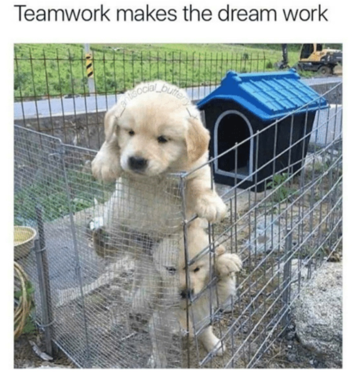 teamwork memes