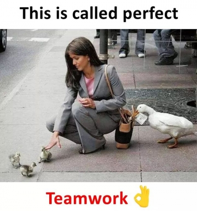 teamwork memes