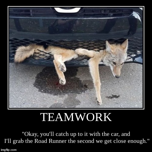 50 Funny Teamwork Memes For Any Office Situation