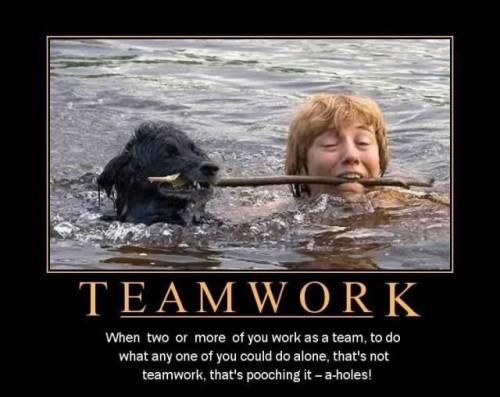 teamwork memes