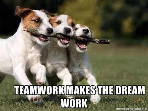 50+ Funny Teamwork Memes For Any Office Situation