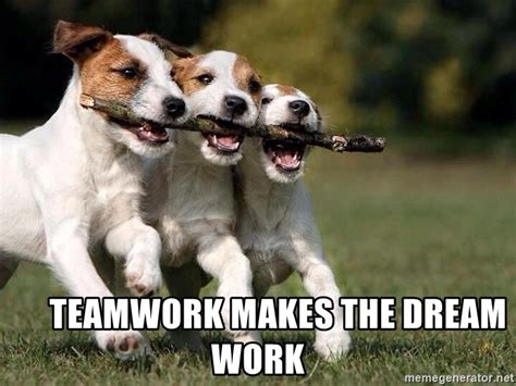 50 Funny Teamwork Memes For Any Office Situation