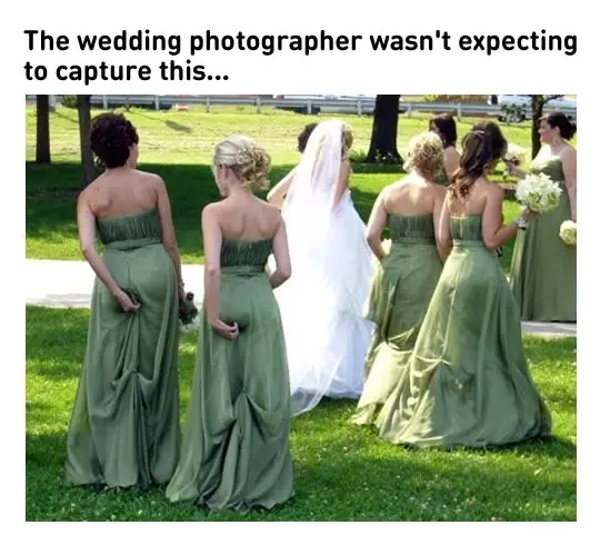 wedding memes