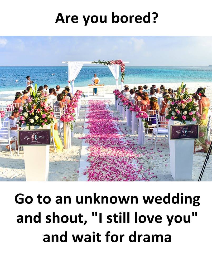 50+ Hilarious Wedding Memes To Reduce Planning Stress