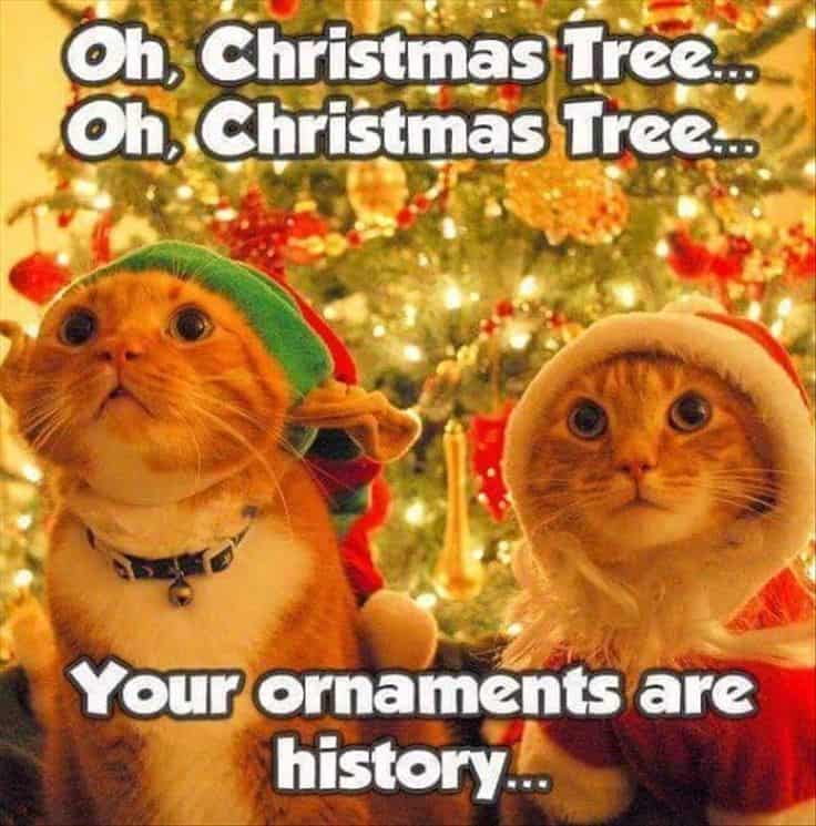 Christmas Song Memes