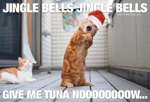 Christmas Song Meme