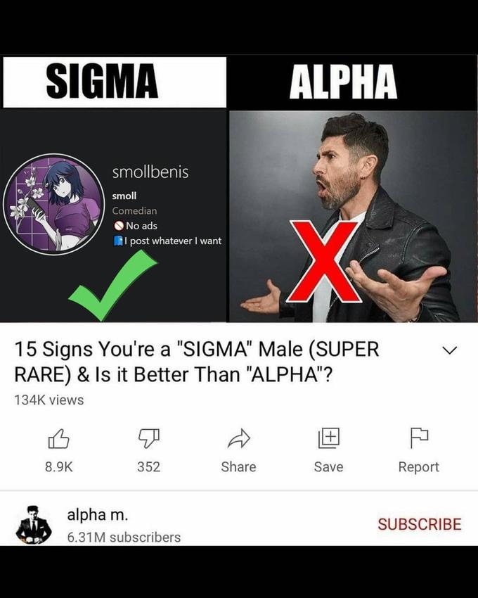 50 Funny Sigma Male Memes That Will Make You Laugh 0733