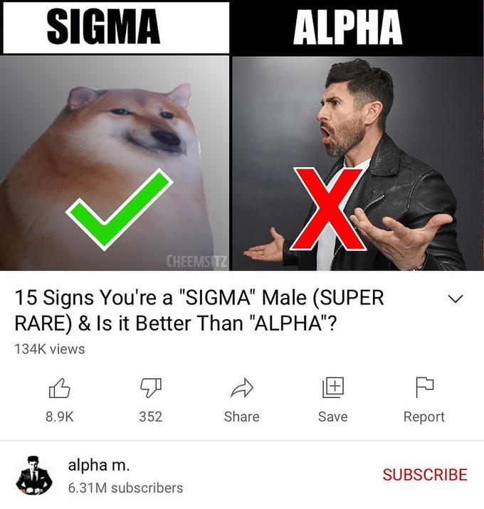 Sigma Male Memes