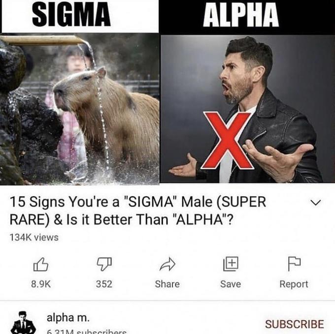 Sigma Male Memes