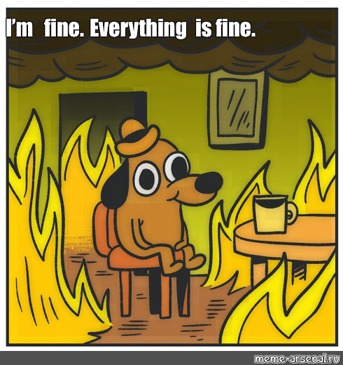 50+ Funny Everything is Fine Memes That Are Relatable AF