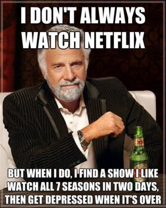 50+ Hilarious Netflix Memes Only True Fans Will Understand