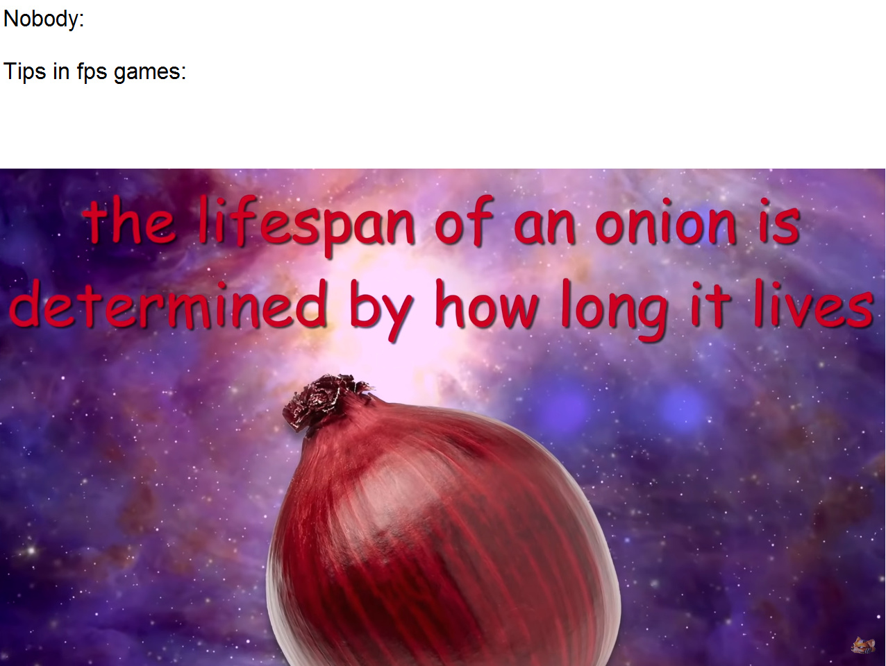 50+ Hilarious Onion Memes Will Make You Cry With Laughter